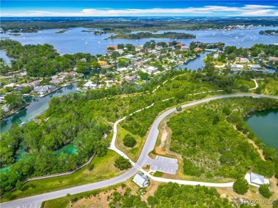 Welcome to 1011 SE 4th Ave., Crystal River -- a unique on Plantation Inn and Golf Resort  in Florida - for sale on GolfHomes.com, golf home, golf lot