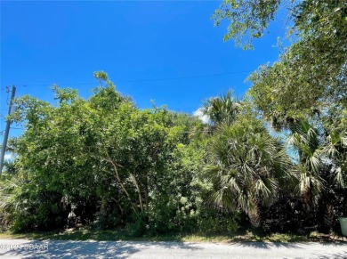BUILD YOUR BEACH HOUSE STEPS FROM THE NO-DRIVE SHORELINE IN on Harbour Village Golf and Yacht Club in Florida - for sale on GolfHomes.com, golf home, golf lot