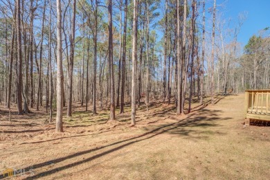 The Rachel Plan with unfinished basement - Builder will pay up on Turtle Cove Golf Course in Georgia - for sale on GolfHomes.com, golf home, golf lot