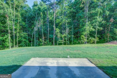 The Rachel Plan with unfinished basement - Builder will pay up on Turtle Cove Golf Course in Georgia - for sale on GolfHomes.com, golf home, golf lot
