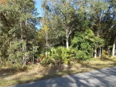 NICE BUILDING LOT LOCATED IN THE HEART OF CITRUS SPRINGS A GOFD on Pine Ridge Community Golf and Country Club in Florida - for sale on GolfHomes.com, golf home, golf lot
