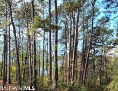 Buildable Corner Lot in Lake Forest Subdivision surrounded by on Lake Forest Yacht and Country Club in Alabama - for sale on GolfHomes.com, golf home, golf lot