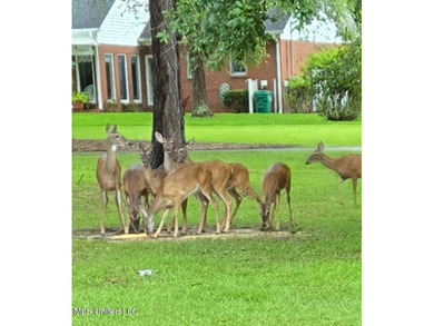 Prime Golf Course Living in Diamondhead | Wake up to sweeping on Diamondhead Country Club in Mississippi - for sale on GolfHomes.com, golf home, golf lot