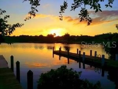 Price Correction reflecting the current Market Conditions~ One on Rotonda Golf and Country Club - Long Marsh  in Florida - for sale on GolfHomes.com, golf home, golf lot