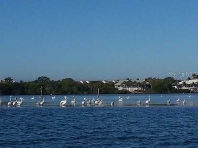 Price Correction reflecting the current Market Conditions~ One on Rotonda Golf and Country Club - Long Marsh  in Florida - for sale on GolfHomes.com, golf home, golf lot