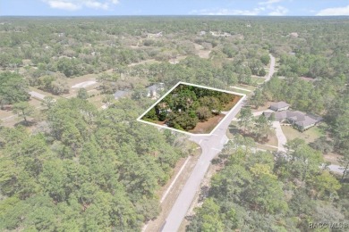 Welcome to 3563 W Blossom Dr-the ultimate haven for car on Pine Ridge Community Golf and Country Club in Florida - for sale on GolfHomes.com, golf home, golf lot