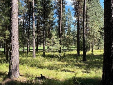 Premier large Golf Front Lot in MeadowCreek Golf Resort on Meadowcreek Golf Resort in Idaho - for sale on GolfHomes.com, golf home, golf lot