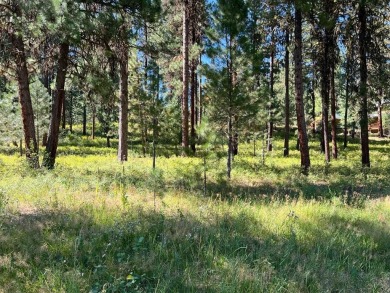 Premier large Golf Front Lot in MeadowCreek Golf Resort on Meadowcreek Golf Resort in Idaho - for sale on GolfHomes.com, golf home, golf lot
