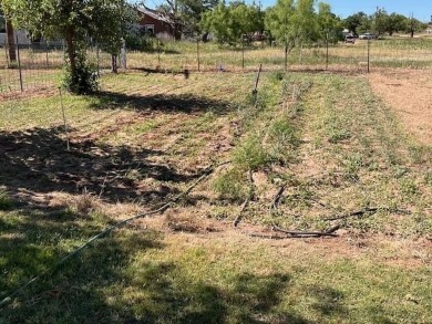 An entire half block is included with this home, perfect for on Rotan Golf Club in Texas - for sale on GolfHomes.com, golf home, golf lot