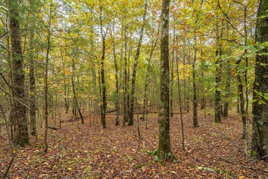 Ready to build! Great corner lot in the Saline County part of on Ponce De Leon Golf Course in Arkansas - for sale on GolfHomes.com, golf home, golf lot