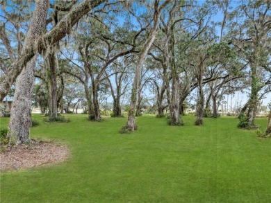 JUST IN TIME FOR CHRISTMAS! INCREDIBLE EASTERN MARSH VIEWS AND on Sapelo Hammock Golf Club in Georgia - for sale on GolfHomes.com, golf home, golf lot