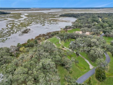 JUST IN TIME FOR CHRISTMAS! INCREDIBLE EASTERN MARSH VIEWS AND on Sapelo Hammock Golf Club in Georgia - for sale on GolfHomes.com, golf home, golf lot