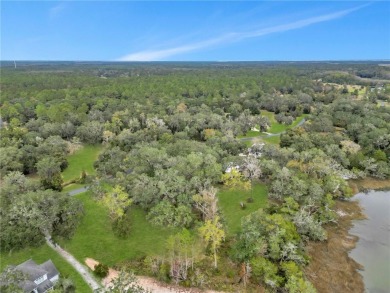 JUST IN TIME FOR CHRISTMAS! INCREDIBLE EASTERN MARSH VIEWS AND on Sapelo Hammock Golf Club in Georgia - for sale on GolfHomes.com, golf home, golf lot