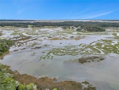 JUST IN TIME FOR CHRISTMAS! INCREDIBLE EASTERN MARSH VIEWS AND on Sapelo Hammock Golf Club in Georgia - for sale on GolfHomes.com, golf home, golf lot