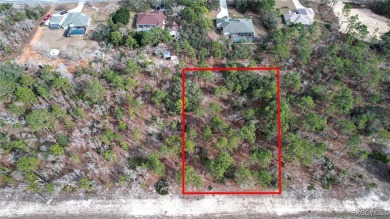 Excellent location. Beautiful land with 1.08 acres in Pine Ridge on Pine Ridge Community Golf and Country Club in Florida - for sale on GolfHomes.com, golf home, golf lot