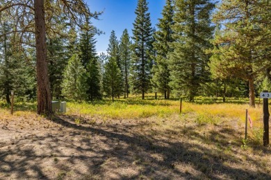Active Lifestyle Meets Mountain Serenity  -  Jug Mountain Ranch on Jug Mountain Ranch Golf Course in Idaho - for sale on GolfHomes.com, golf home, golf lot