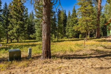 Active Lifestyle Meets Mountain Serenity  -  Jug Mountain Ranch on Jug Mountain Ranch Golf Course in Idaho - for sale on GolfHomes.com, golf home, golf lot