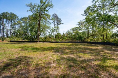 BUY NOW, BUILD TOMORROW, OR WHEN YOU'RE READY-AND GOLF ALL THE on Daniel Island Club in South Carolina - for sale on GolfHomes.com, golf home, golf lot