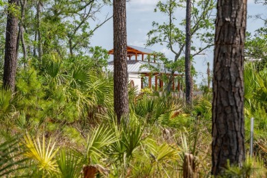BUY NOW, BUILD TOMORROW, OR WHEN YOU'RE READY-AND GOLF ALL THE on Daniel Island Club in South Carolina - for sale on GolfHomes.com, golf home, golf lot