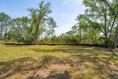 BUY NOW, BUILD TOMORROW, OR WHEN YOU'RE READY-AND GOLF ALL THE on Daniel Island Club in South Carolina - for sale on GolfHomes.com, golf home, golf lot