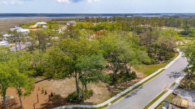 BUY NOW, BUILD TOMORROW, OR WHEN YOU'RE READY-AND GOLF ALL THE on Daniel Island Club in South Carolina - for sale on GolfHomes.com, golf home, golf lot