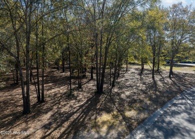 Come build your dream home on this one of a kind lot in River on River Landing Golf Course in North Carolina - for sale on GolfHomes.com, golf home, golf lot