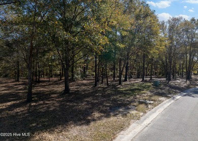 Come build your dream home on this one of a kind lot in River on River Landing Golf Course in North Carolina - for sale on GolfHomes.com, golf home, golf lot