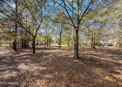 Come build your dream home on this one of a kind lot in River on River Landing Golf Course in North Carolina - for sale on GolfHomes.com, golf home, golf lot