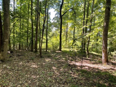 A MUST SEE, waiting for you to build your dream home on.  This on Mountain Harbour Golf Club in North Carolina - for sale on GolfHomes.com, golf home, golf lot