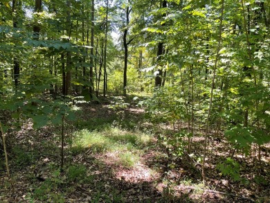 A MUST SEE, waiting for you to build your dream home on.  This on Mountain Harbour Golf Club in North Carolina - for sale on GolfHomes.com, golf home, golf lot