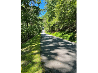 A MUST SEE, waiting for you to build your dream home on.  This on Mountain Harbour Golf Club in North Carolina - for sale on GolfHomes.com, golf home, golf lot