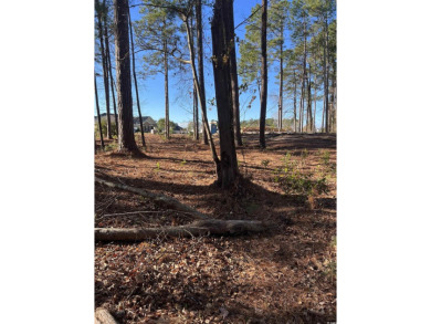 Beautiful golf course lot on a cul de sac, located on the on Wild Wing Plantation in South Carolina - for sale on GolfHomes.com, golf home, golf lot
