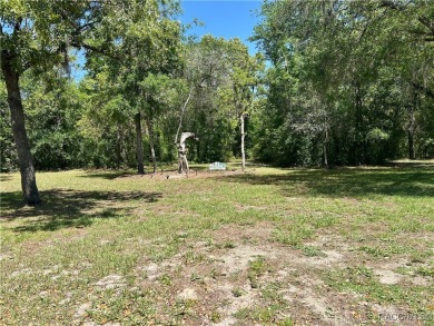 This Crooked Stick homesite, just on the market, is one of the on Black Diamond Ranch Golf Course in Florida - for sale on GolfHomes.com, golf home, golf lot