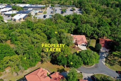 This Crooked Stick homesite, just on the market, is one of the on Black Diamond Ranch Golf Course in Florida - for sale on GolfHomes.com, golf home, golf lot