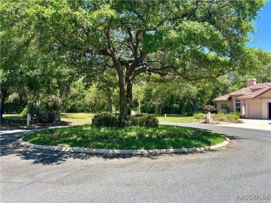 This Crooked Stick homesite, just on the market, is one of the on Black Diamond Ranch Golf Course in Florida - for sale on GolfHomes.com, golf home, golf lot