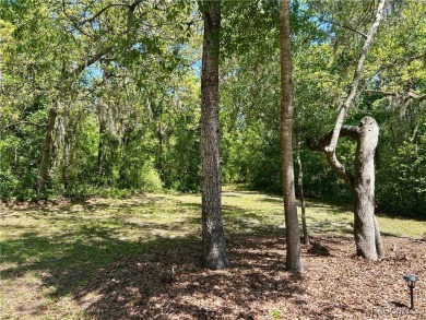 This Crooked Stick homesite, just on the market, is one of the on Black Diamond Ranch Golf Course in Florida - for sale on GolfHomes.com, golf home, golf lot
