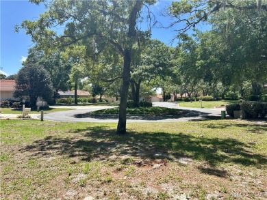 This Crooked Stick homesite, just on the market, is one of the on Black Diamond Ranch Golf Course in Florida - for sale on GolfHomes.com, golf home, golf lot