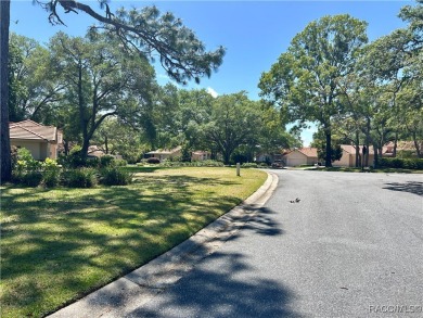 This Crooked Stick homesite, just on the market, is one of the on Black Diamond Ranch Golf Course in Florida - for sale on GolfHomes.com, golf home, golf lot