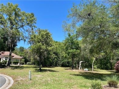 This Crooked Stick homesite, just on the market, is one of the on Black Diamond Ranch Golf Course in Florida - for sale on GolfHomes.com, golf home, golf lot