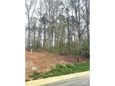 Discover the perfect setting for your forever home on this on Old North State Club at Uwharrie Point Golf community in North Carolina - for sale on GolfHomes.com, golf home, golf lot
