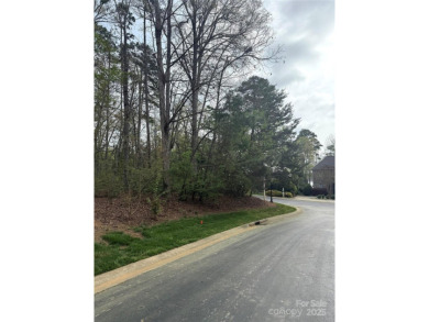 Discover the perfect setting for your forever home on this on Old North State Club at Uwharrie Point Golf community in North Carolina - for sale on GolfHomes.com, golf home, golf lot