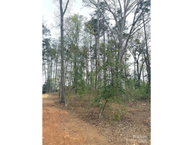 Discover the perfect setting for your forever home on this on Old North State Club at Uwharrie Point Golf community in North Carolina - for sale on GolfHomes.com, golf home, golf lot