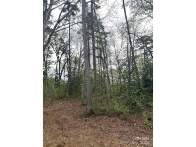 Discover the perfect setting for your forever home on this on Old North State Club at Uwharrie Point Golf community in North Carolina - for sale on GolfHomes.com, golf home, golf lot