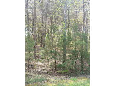 Welcome to your dream homesite nestled on the 11th fairway of a on Old North State Club at Uwharrie Point Golf community in North Carolina - for sale on GolfHomes.com, golf home, golf lot