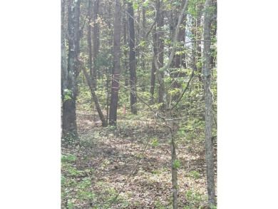 Welcome to your dream homesite nestled on the 11th fairway of a on Old North State Club at Uwharrie Point Golf community in North Carolina - for sale on GolfHomes.com, golf home, golf lot