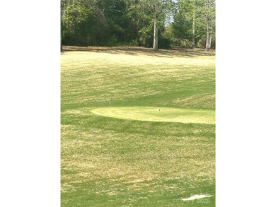 Welcome to your dream homesite nestled on the 11th fairway of a on Old North State Club at Uwharrie Point Golf community in North Carolina - for sale on GolfHomes.com, golf home, golf lot