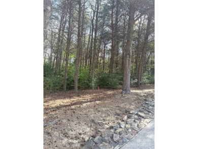 Welcome to your dream homesite nestled on the 11th fairway of a on Old North State Club at Uwharrie Point Golf community in North Carolina - for sale on GolfHomes.com, golf home, golf lot