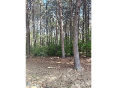 Welcome to your dream homesite nestled on the 11th fairway of a on Old North State Club at Uwharrie Point Golf community in North Carolina - for sale on GolfHomes.com, golf home, golf lot