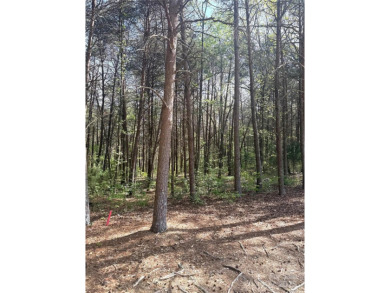 Welcome to your dream homesite nestled on the 11th fairway of a on Old North State Club at Uwharrie Point Golf community in North Carolina - for sale on GolfHomes.com, golf home, golf lot