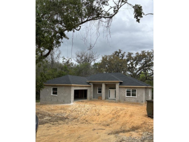UNDER CONSTRUCTION. READY FOR OCCUPANCY BY SUMMER!!!! BUY NOW on Skyview At Terra Vista Golf and Country Club in Florida - for sale on GolfHomes.com, golf home, golf lot